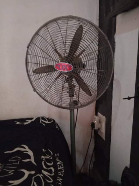 A picture of O X fan