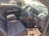 A picture of Harrier s