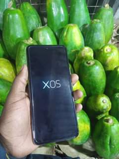 A picture of Infinix hot12 Play
