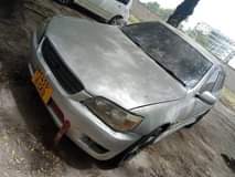 used toyota altezza
