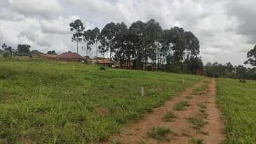 A picture of WAKISO KAYUNGA TOWN COMMERCIAL PLOTS 50ft by 100ft FOR SALE