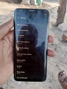 A picture of SAMSUNG S9
