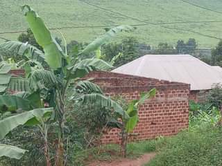 A picture of Kajjansi shell rentals on quick sale