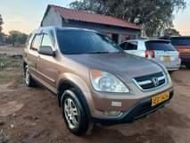 used honda crv