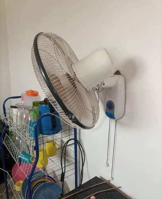 fans