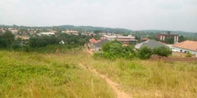A picture of 0709106274 PRIME PLOTS 50X100FT TITLED MATUGA A WALKABLE DISTANCE OFF