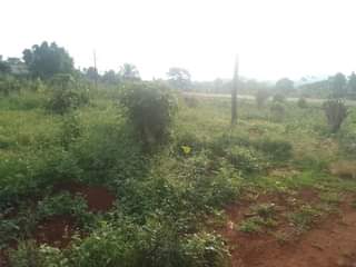 A picture of 100 ft by 50ft prime plot for sale that touches