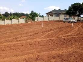 A picture of Plots