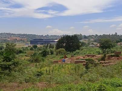 A picture of Land