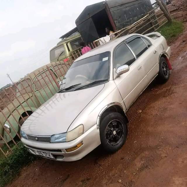 toyota kikumi