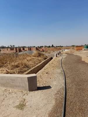stands