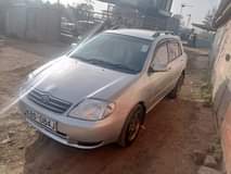 Shiku P.
