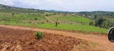 A picture of WAKISO KAKIRI TOWN ESTATES WITH TITLES NEAR KAMPALA 7M 20M
