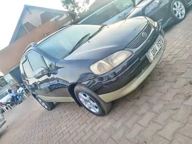 A picture of 0703704731