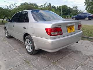 A picture of CARINA TI 0659297929