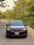 A picture of Honda Accord 2013