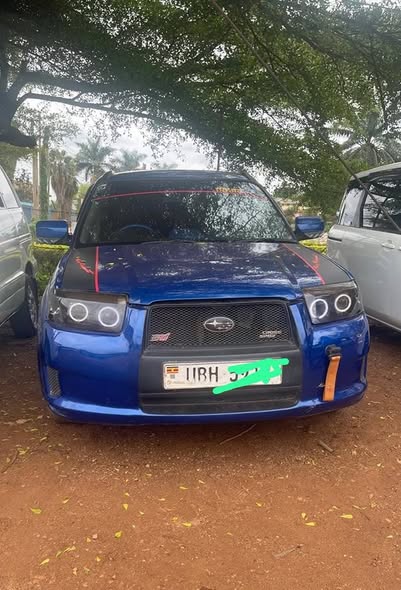 used toyota altezza