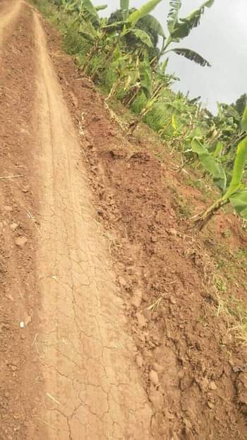 A picture of plots in kakiri kikandwa near tarmac from 2m