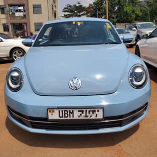 A picture of BEETLE 2015 40M