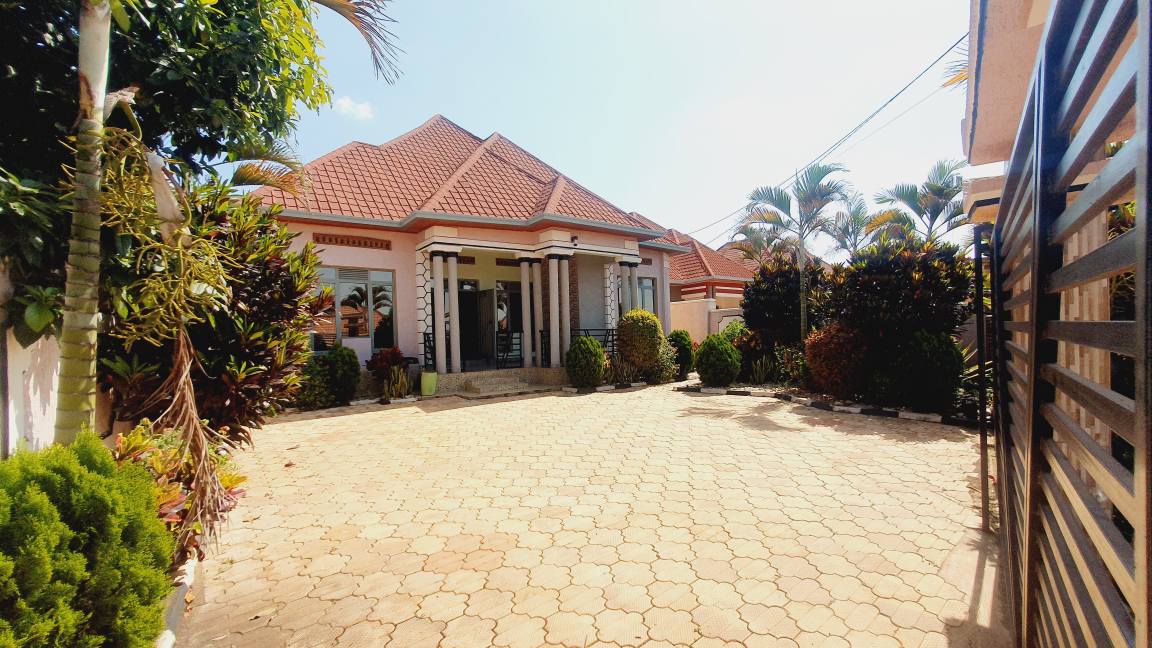 houses for rent