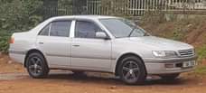 A picture of Premmio for sale call me on 256751331103 or what app