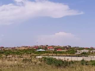 Zitsu G.