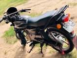 A picture of Boxer cc 150
