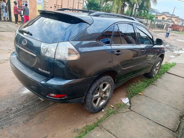 A picture of 2007 Lexus RX 350