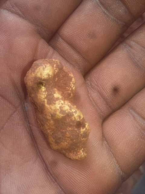 gold detector