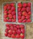 A picture of Fresh fruits and vegetables