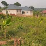 Gamucwa K.