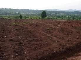 A picture of New site opened 50 100fts tittled at matuga kanyanda near