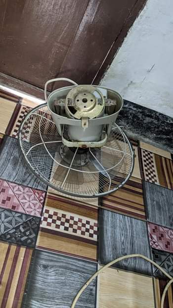 A picture of Evernal feni la juu