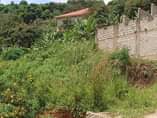 A picture of Makindye kizungu posh plot at 110 by 50 ft.