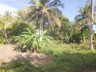 A picture of NAUZA KIWANJA KIPO KIBAHA KONGOWE UMBALI KILOMITA MOJA KUTOKA MOROGORO