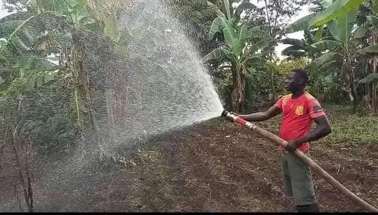 A picture of Water pumps sprinklers maize shellers sillage choppers rice harvester grass