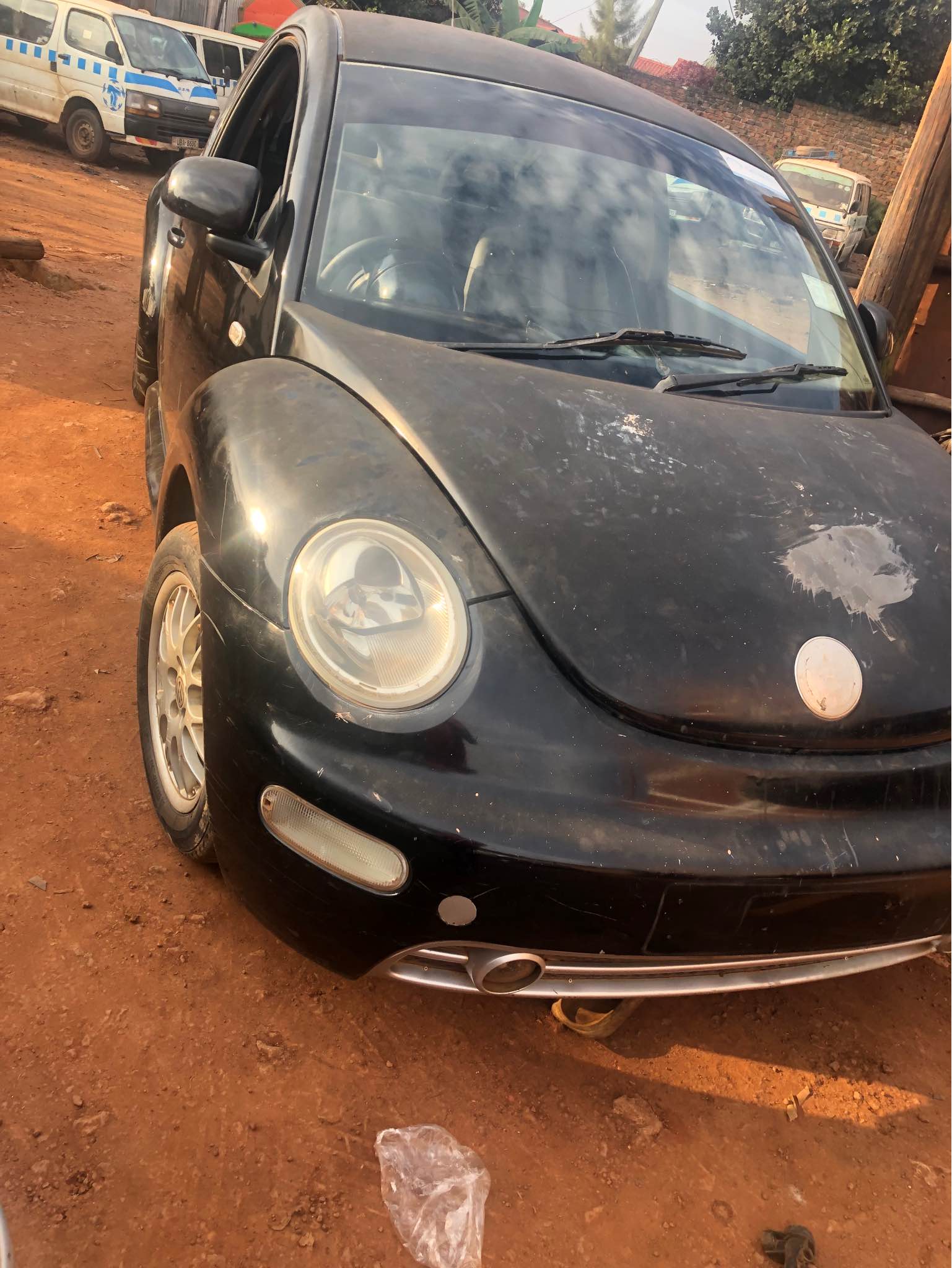 A picture of Beetle