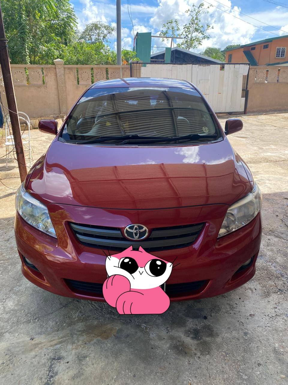 cars