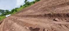 A picture of TITTLED PLOTS AT ONLY 7 5 MILLIONS