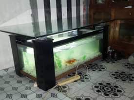 A picture of JUMBA LA KUFUGIA SAMAKI