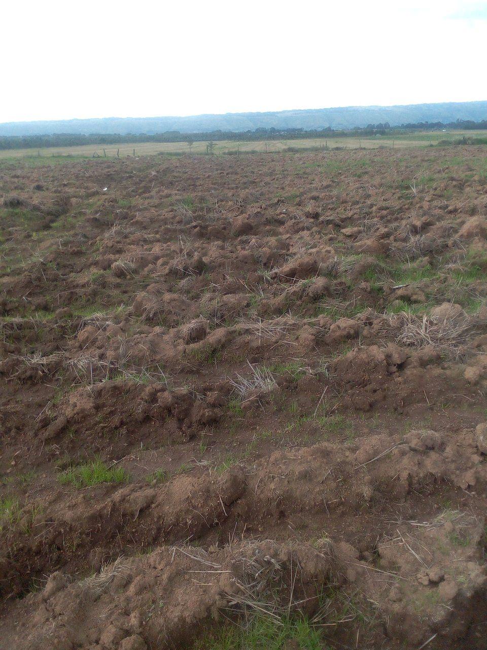 agricultural