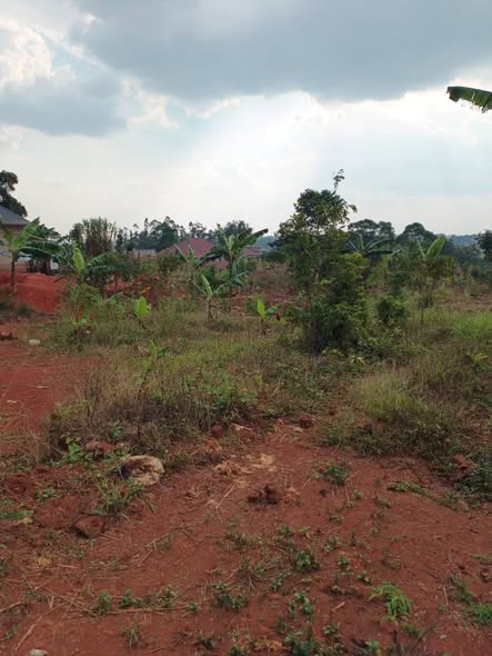 A picture of PLOT ON URGENT SALE