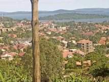 A picture of MANSION IN MUNYONYO BUZIGA AT UGX1.3BILLION.