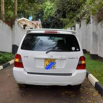 A picture of Kluger at 23m call 0703457898