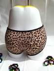 A picture of Knickers