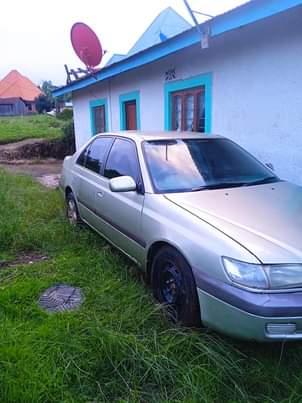 A picture of For Sale