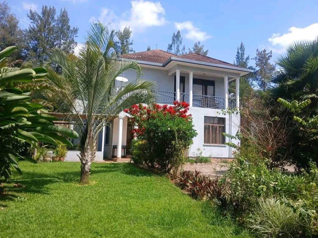 houses for rent