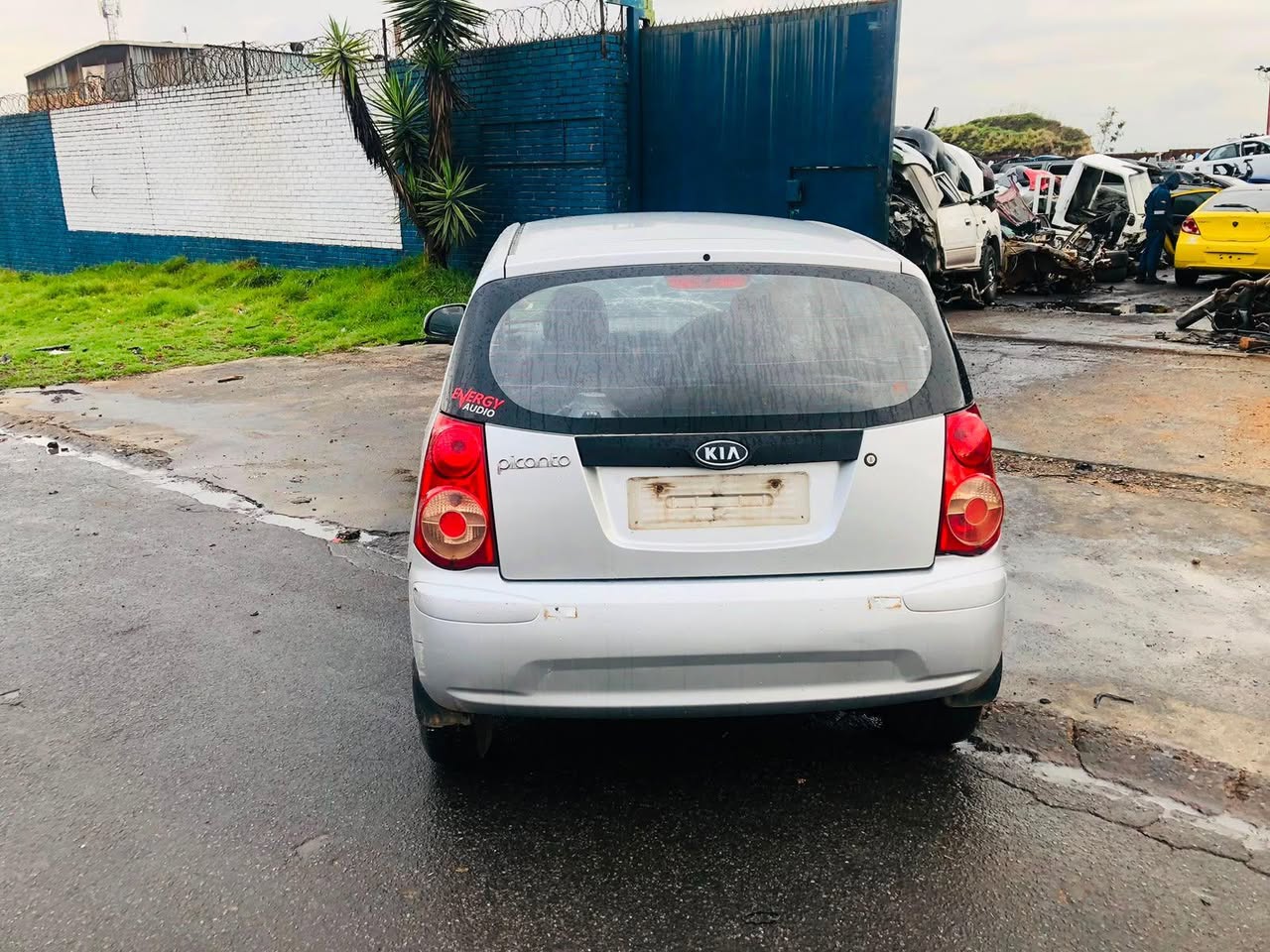 kia picanto