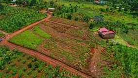 A picture of 4.8m with ready land title Wooo for sure get your