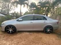 Sophia C.